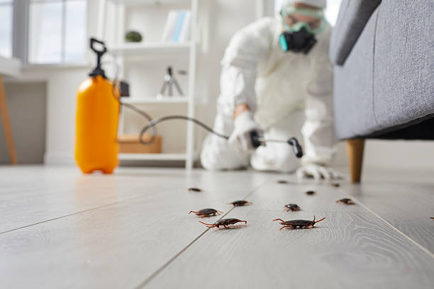 Commercial Kitchen Cockroach Control in Robstown